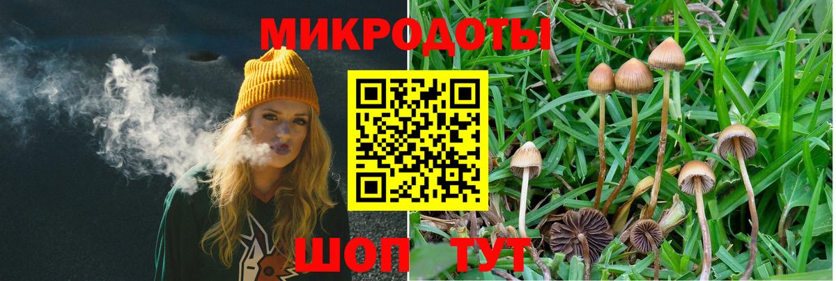 Галлюциногенные грибы Magic Shrooms Ивантеевка