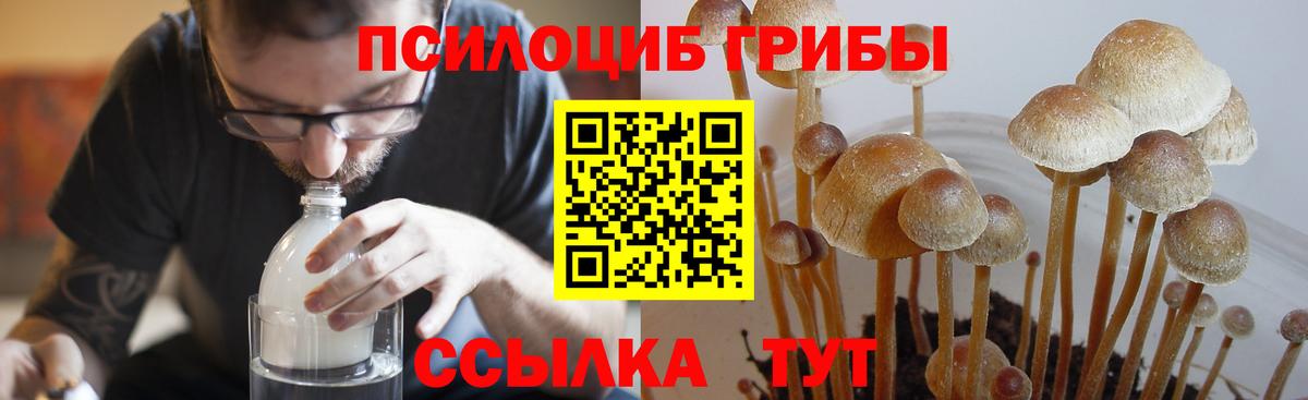 Галлюциногенные грибы Magic Shrooms  Псилоцибиновые грибы Magic Shrooms  Вход с VPN  Ивантеевка 